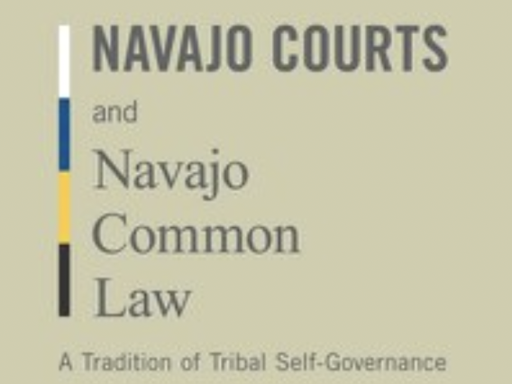 Navajo Courts and Navajo Common Law book